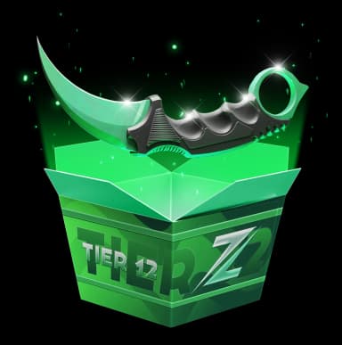 Tier 12 High Risk