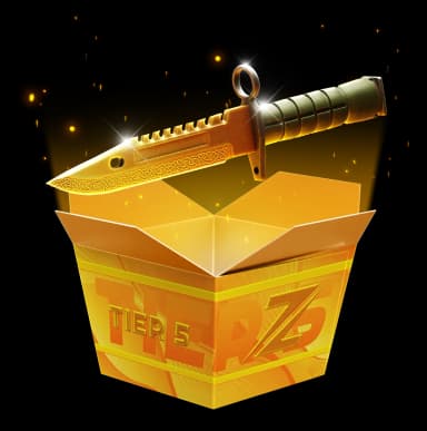 Tier 5 High Risk