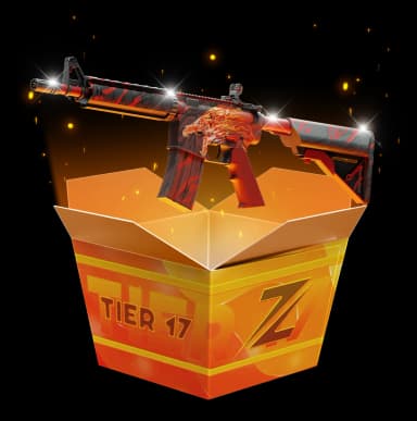 Tier 17 High Risk
