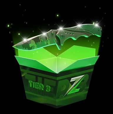 Tier 3 High Risk