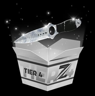 Tier 4 High Risk
