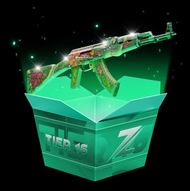 Tier 16 High Risk