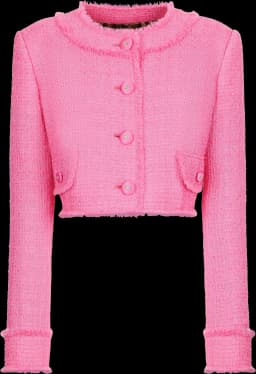 Dolce & Gabbana Round Neck Cropped Tweed Jacket