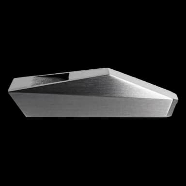 Tesla Cyber Whistle