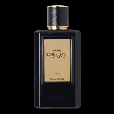 Prada Olfactories Les Mirages - Some Velvet Morning EDP 100 ml