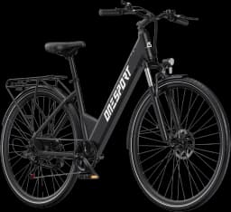 ONESPORT OT12 Folding Electric Bike 250W 36V 13Ah