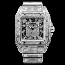 Cartier Steel Santos Bustdown 43.3mm