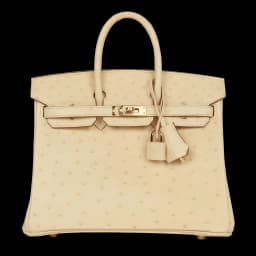 Hermès Birkin 25 Vanille Ostrich Boreal Gold Hardware